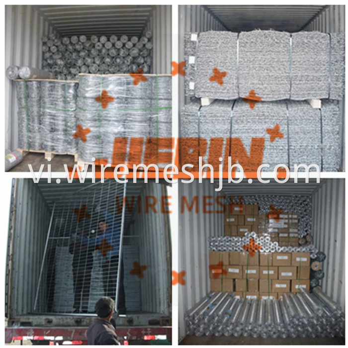 Galvanized and PVC Coated Barbed Wire